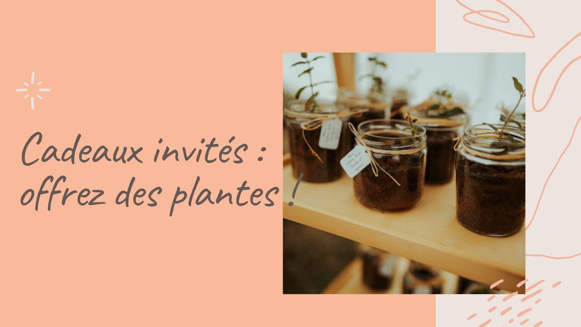 Cadeaux invités mariage : Offrez des plantes maison - Mariages écologiques